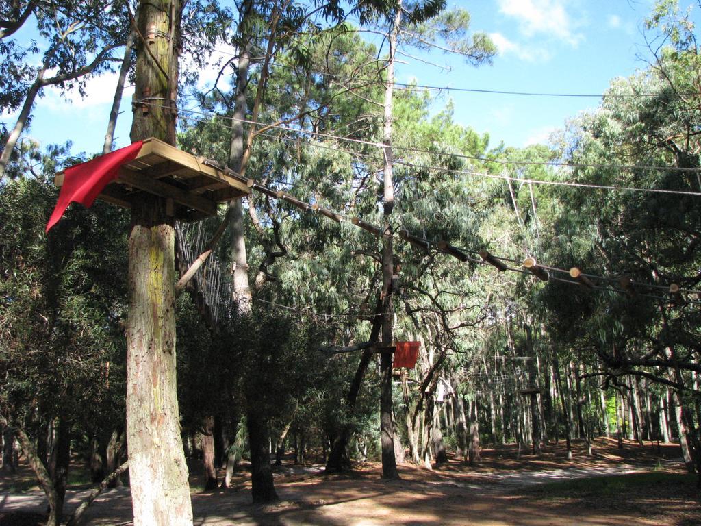 Green Park En Punta Del Este Extérieur photo